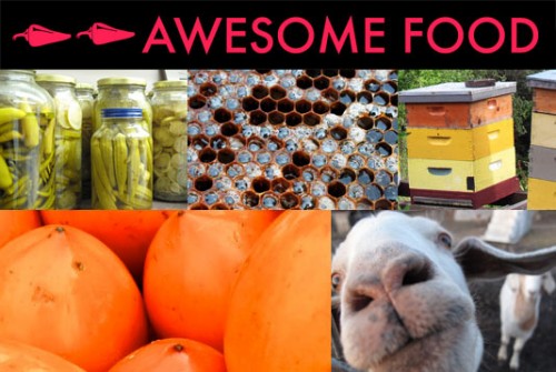 Aweome Food Logo with Food and Animal Pictures