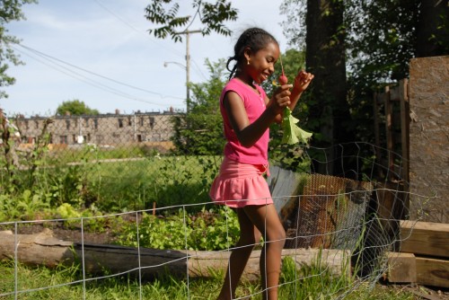 Detroit urban farm