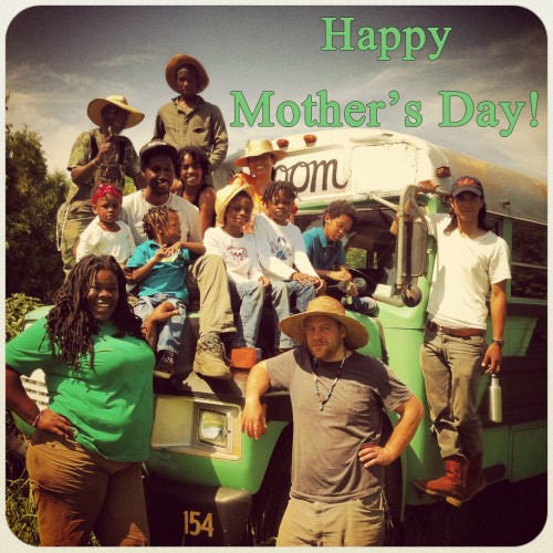 Tanya Fields, The BLK ProjeK Tanya Fields, The BLK ProjeK