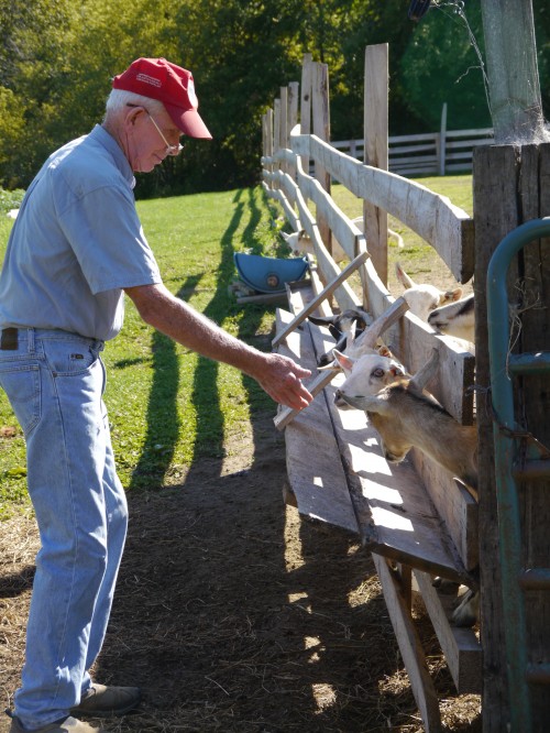 John Kinsman with goats
