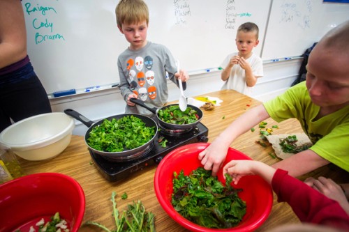 ecowatch storytelling