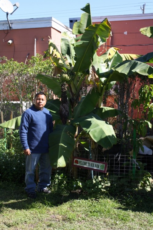 farm worker