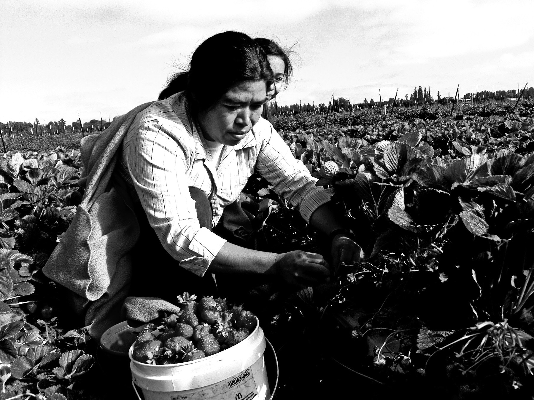 Underpaid and Unprotected: How the COVID-19 Crisis is Highlighting the Injustices Faced by America’s Food Workers Underpaid and Unprotected: How the COVID-19 Crisis is Highlighting the Injustices Faced by America’s Food Workers